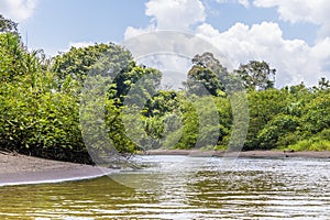 A view of the jungle bordered Tortuguero River in Costa Rica
