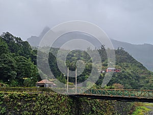 View jungle madeira trees cloudy bridge