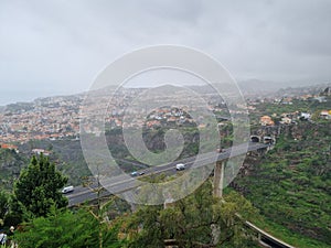 View jungle madeira trees cloudy bridge