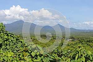 View of the jungle with mountains