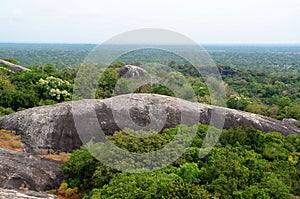 View of jungle, SrÃ­ Lanka