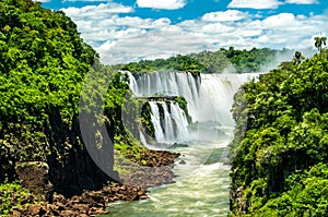 View from the jungle to Iguazu Falls in Argentina