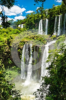 View from the jungle to Iguazu Falls in Argentina