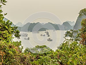 A view of junk boats in a lagoon in Ha Long Bay through trees photo