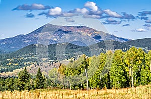 View of the Kachina Peaks Wildnerness from Snowbowl