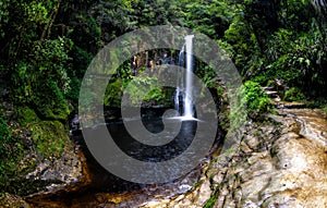 A view of Kaiate Falls in waitao in the western bay of plenty on the north island of new zealand 2