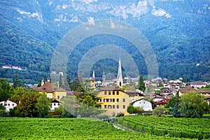 View of Kaltern town at the South Tyrolean wine route