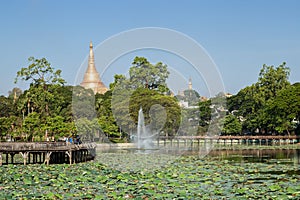 View of Kandawgyi Lake and Shwedagon Pagoda in Yangon
