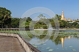 View of Kandawgyi Lake and Shwedagon Pagoda in Yangon