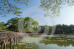 View of Kandawgyi Lake in Yangon