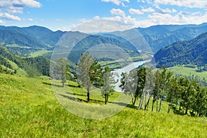 View of Katun river from mountain Camel. Altai Republic, Russia