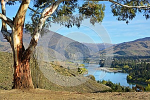 View of kawarau Gorge From Bannockburn, Central Otago, New Zealand