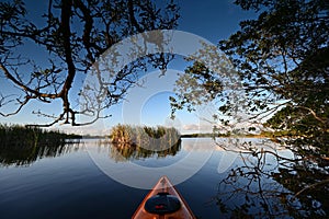 View from kayak amidst mangrove trees of Nine Mile Pond in Everglades NP.