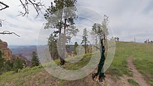 View from Ken patrick Trail in the Grand Canyon