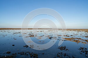 View of Kerkennah - Tunisian archipelago