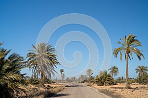 View of Kerkennah - Tunisian archipelago