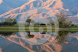 Kerkini Lake in Greece photo