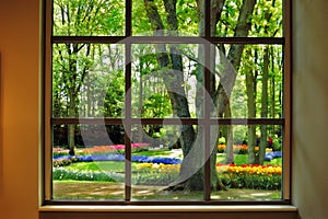 View at the Keukenhof Garden