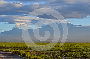 View of the Kilimanjaro in Amboseli National PArk, Kenya, Africa