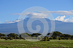 View of the Kilimanjaro and elephants family in Amboseli National Park, Kenya