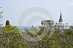 View of the King's palace