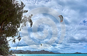View of kites in the Hawaiian sky outstretched from kiteboarders