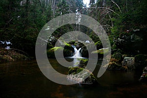 View of the Kleiner Wasserfall in the forest