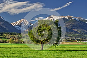 View at Klin and Jezova peaks from Podbanske meadows