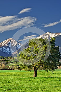 View at Klin and Jezova peaks from Podbanske meadows