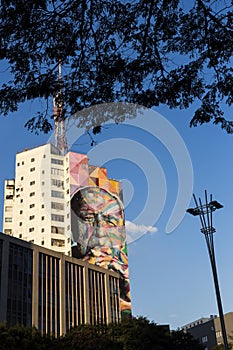 View of a kobra`s graffiti at paulista avenue