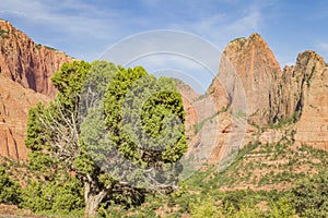 A view of Kolob Canyon in Zion National Park, Utah