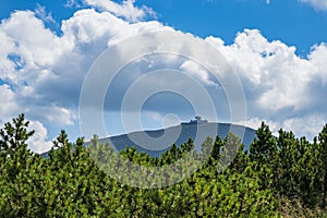 View from Kopa to ÅšnieÅ¼ka mountain top II