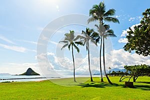 View of Kualoa Regional Park, Oahu, Hawaii photo