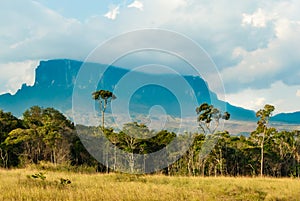 View of Kukenan Tepui, Gran Sabana, Venezuela