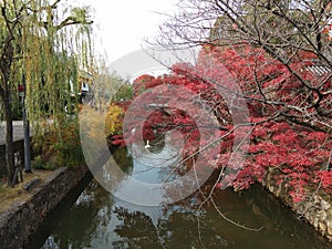 View of Kurashiki River in Fall