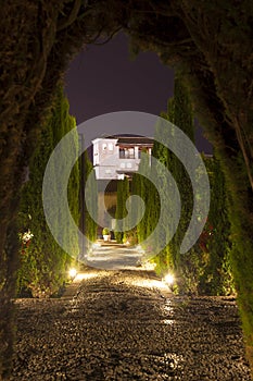 View of La Alhambra, Granada