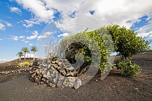 View of La Geria, the vinegrowing region of Lanzarote, Spain