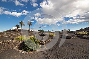 View of La Geria, the vinegrowing region of Lanzarote, Spain