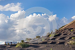 View of La Geria, the vinegrowing region of Lanzarote, Spain