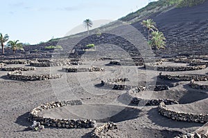 View of La Geria, the vinegrowing region of Lanzarote, Spain