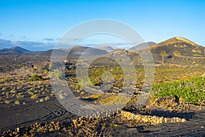View of La Geria vineyards region with Los Volcanes Natural Park in the background, Lanzarote - Canary Islands, Spain