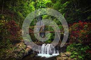 View of Labuhan Kebo Waterfall located in Munduk, Bali