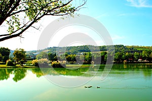 View from Lago Azzurro with many ducks swimming in the lake, a tree in the foreground and a green spur