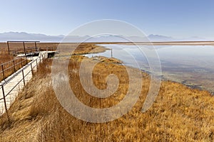 View of the Laguna Lagoon Cejar, Chile