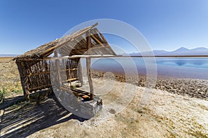 View of the Laguna Lagoon Cejar, Chile