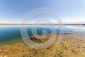 View of the Laguna Lagoon Cejar, Chile