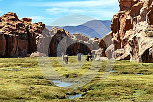 View of the Laguna Negra, Black lagoon Canyon with unique geological rock formations in Altiplano, Bolivia