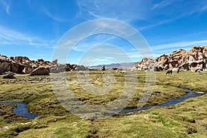 View of the Laguna Negra, Black lagoon Canyon with unique geological rock formations in Altiplano, Bolivia