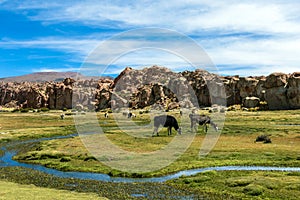 View of the Laguna Negra, Black lagoon Canyon with unique geological rock formations in Altiplano, Bolivia