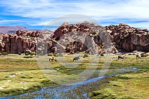 View of the Laguna Negra, Black lagoon Canyon with unique geological rock formations in Altiplano, Bolivia